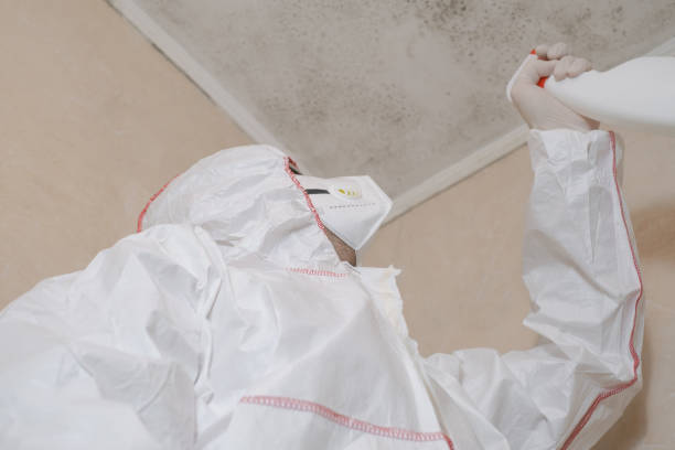 Best Professional Mold Removal  in Kingston, NJ